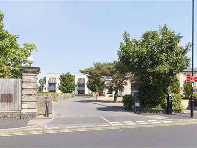Picture 14